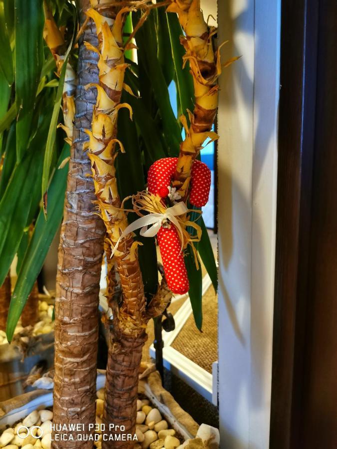 Hotel Swiss シュメン エクステリア 写真