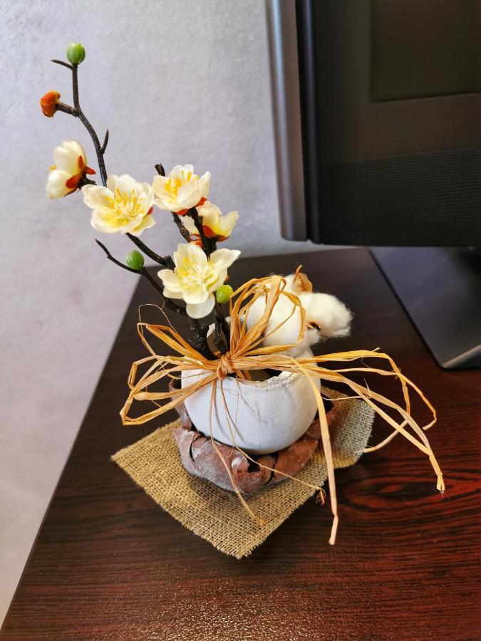Hotel Swiss シュメン エクステリア 写真